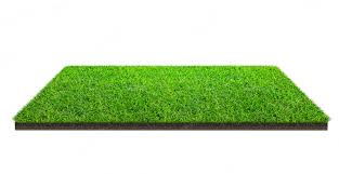 Buy Artificial Grass Online