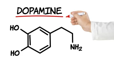 Ten Natural Ways to Increase Dopamine Level