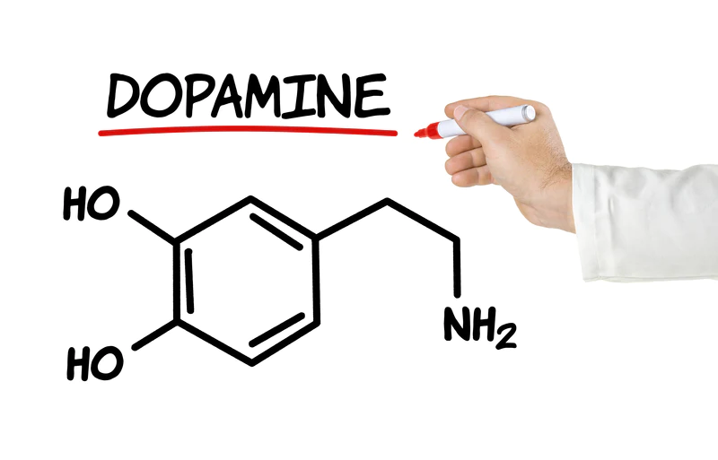 Ten Natural Ways to Increase Dopamine Level